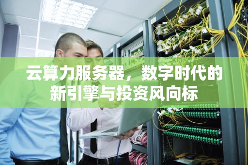 云算力服务器，数字时代的新引擎与投资风向标