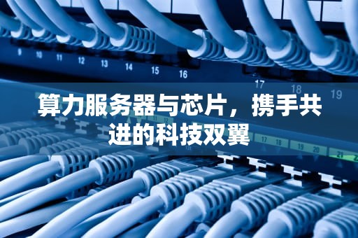 算力服务器与芯片，携手共进的科技双翼