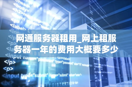 网通服务器租用_网上租服务器一年的费用大概要多少_网通服务器租用：打造稳定、高效的网络环境