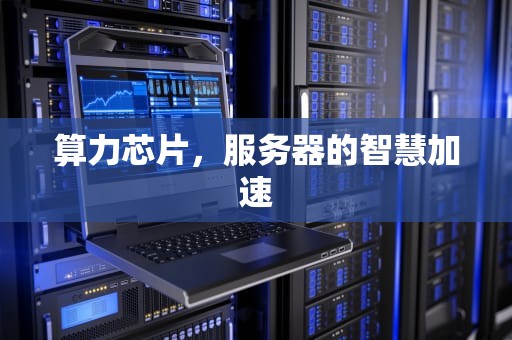 算力芯片，服务器的智慧加速