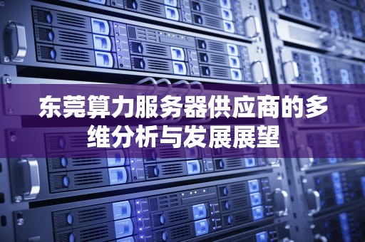东莞算力服务器供应商的多维分析与发展展望