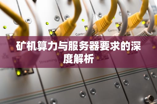 矿机算力与服务器要求的深度解析