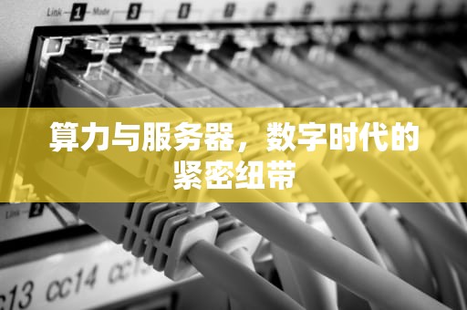 算力与服务器，数字时代的紧密纽带