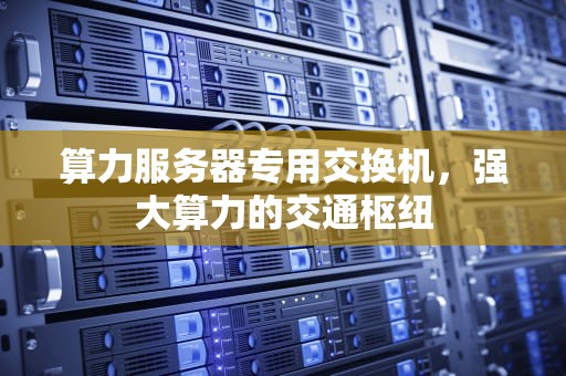 算力服务器专用交换机，强大算力的交通枢纽