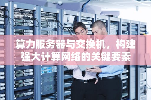 算力服务器与交换机，构建强大计算网络的关键要素