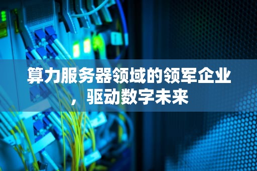 算力服务器领域的领军企业，驱动数字未来