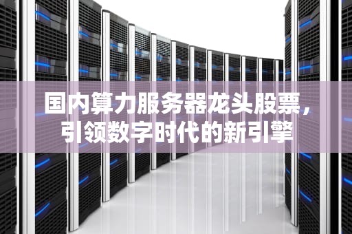 国内算力服务器龙头股票，引领数字时代的新引擎