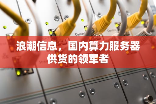 浪潮信息，国内算力服务器供货的领军者