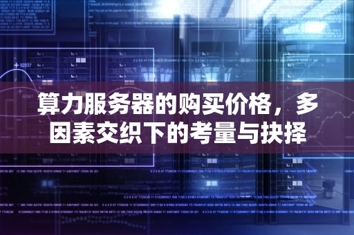 算力服务器的购买价格，多因素交织下的考量与抉择