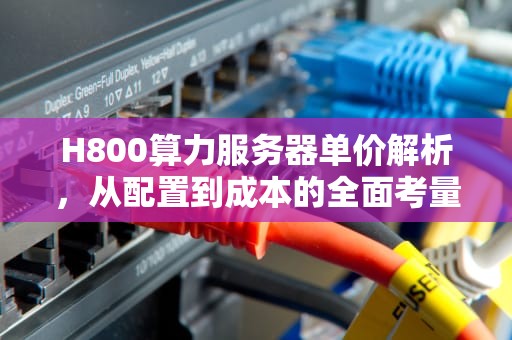 H800算力服务器单价解析，从配置到成本的全面考量