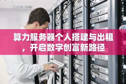 算力服务器个人搭建与出租，开启数字创富新路径