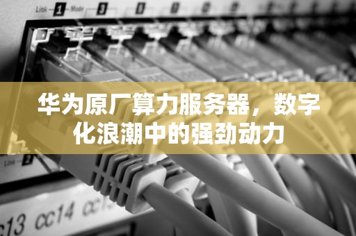 华为原厂算力服务器，数字化浪潮中的强劲动力