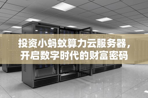 投资小蚂蚁算力云服务器，开启数字时代的财富密码