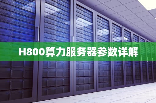 H800算力服务器参数详解