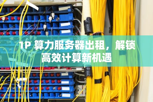 1P 算力服务器出租，解锁高效计算新机遇
