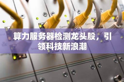 算力服务器检测龙头股，引领科技新浪潮