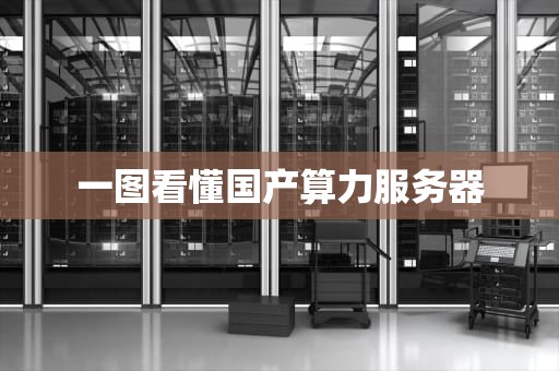 一图看懂国产算力服务器
