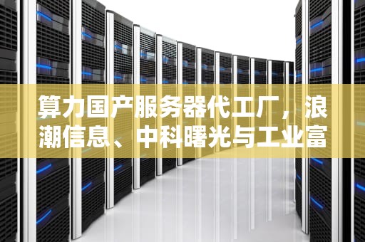 算力国产服务器代工厂，浪潮信息、中科曙光与工业富联的崛起之路