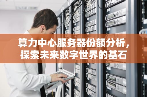 算力中心服务器份额分析，探索未来数字世界的基石