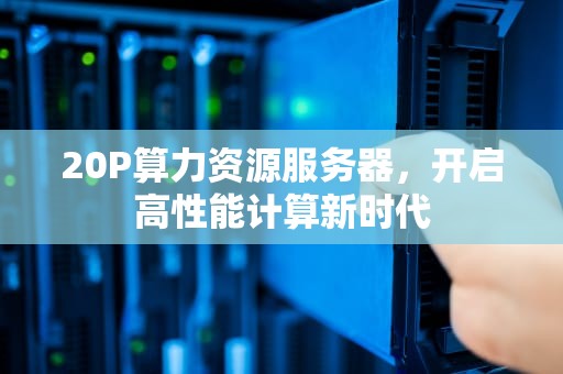20P算力资源服务器，开启高性能计算新时代