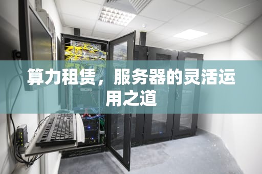 算力租赁，服务器的灵活运用之道
