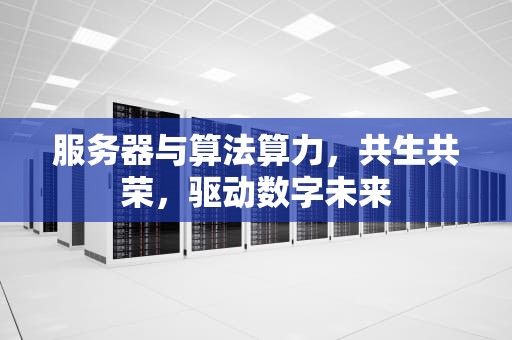 服务器与算法算力，共生共荣，驱动数字未来