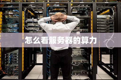 怎么看服务器的算力