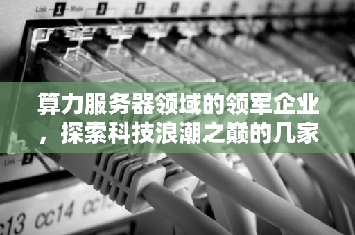 算力服务器领域的领军企业，探索科技浪潮之巅的几家公司