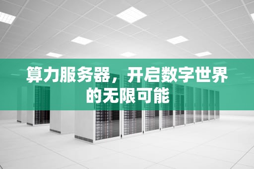 算力服务器，开启数字世界的无限可能