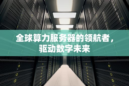 全球算力服务器的领航者，驱动数字未来