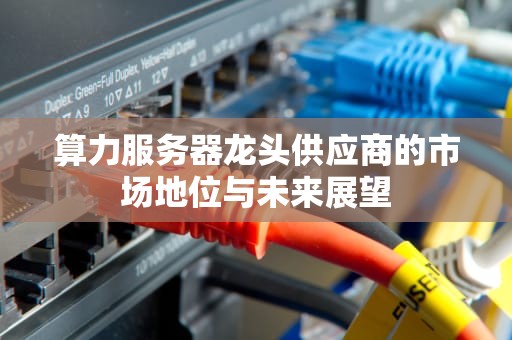 算力服务器龙头供应商的市场地位与未来展望