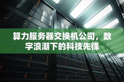 算力服务器交换机公司，数字浪潮下的科技先锋