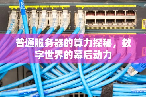 普通服务器的算力探秘，数字世界的幕后动力