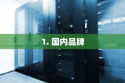 1. 国内品牌