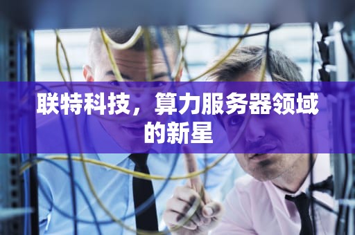 联特科技，算力服务器领域的新星