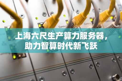 上海六尺生产算力服务器，助力智算时代新飞跃