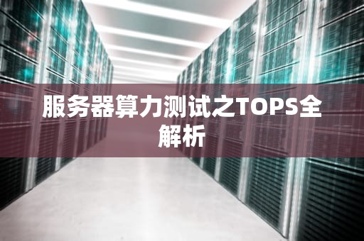 服务器算力测试之TOPS全解析