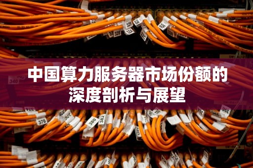 中国算力服务器市场份额的深度剖析与展望