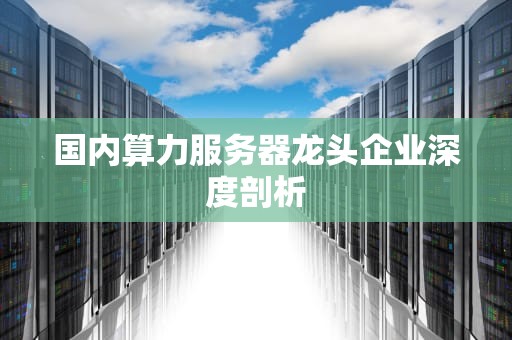 国内算力服务器龙头企业深度剖析