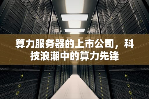 算力服务器的上市公司，科技浪潮中的算力先锋