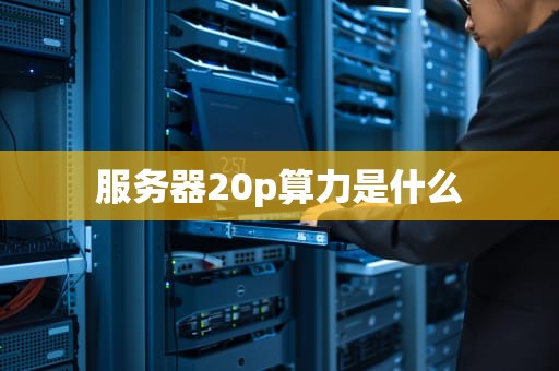 服务器20p算力是什么
