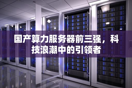 国产算力服务器前三强，科技浪潮中的引领者