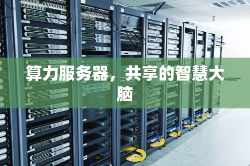 算力服务器，共享的智慧大脑