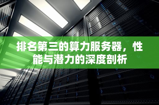 排名第三的算力服务器，性能与潜力的深度剖析
