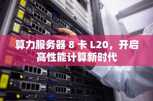 算力服务器 8 卡 L20，开启高性能计算新时代