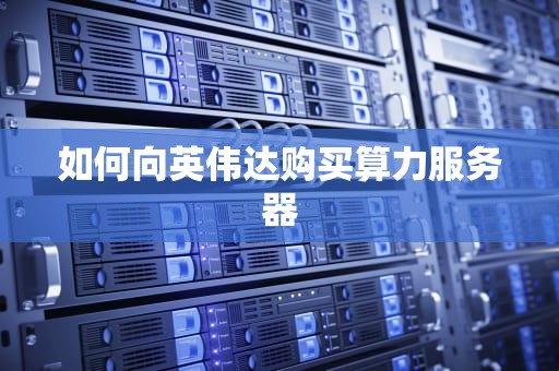 如何向英伟达购买算力服务器