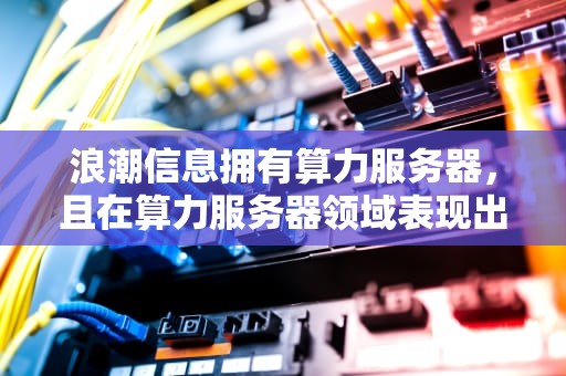 浪潮信息拥有算力服务器，且在算力服务器领域表现出色。以下是关于浪潮信息算力服务器的一些详细信息