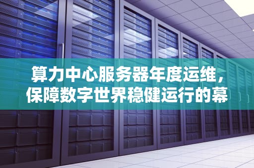 算力中心服务器年度运维，保障数字世界稳健运行的幕后英雄