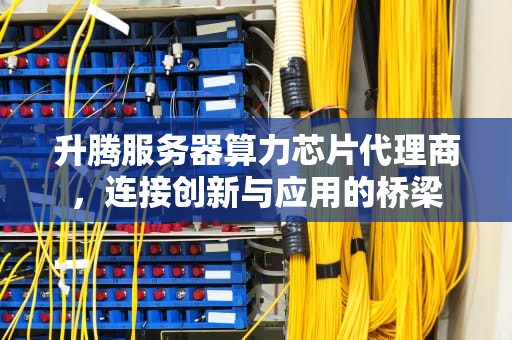 升腾服务器算力芯片代理商，连接创新与应用的桥梁