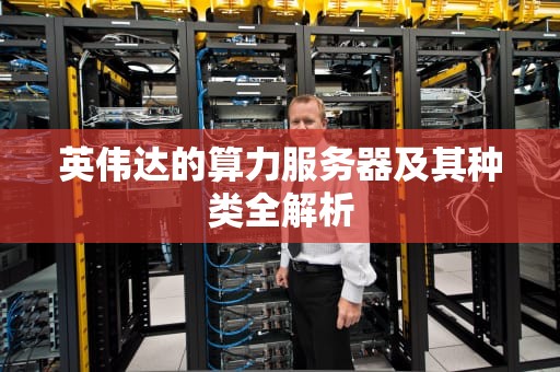 英伟达的算力服务器及其种类全解析